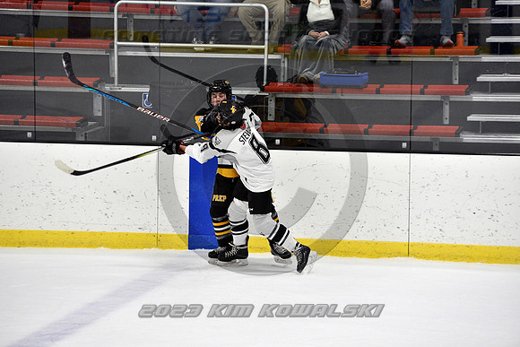 _GSP0582 (Copy)