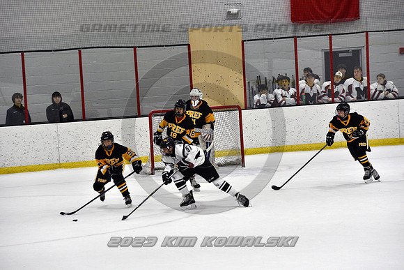 _GSP0608 (Copy)