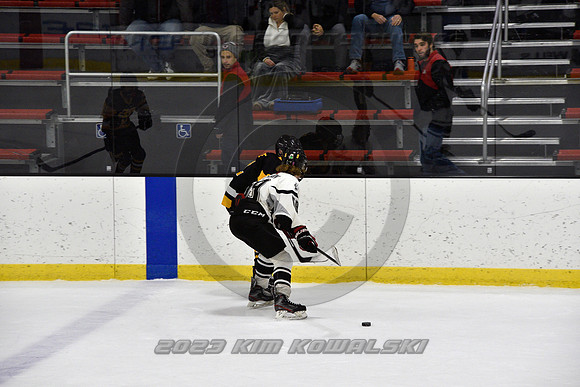 _GSP0612 (Copy)