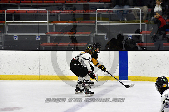 _GSP0611 (Copy)