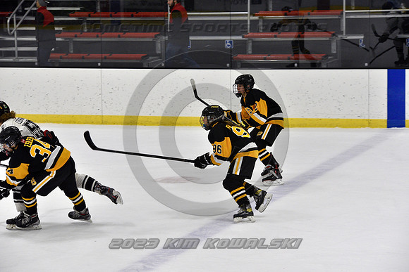 _GSP0617 (Copy)