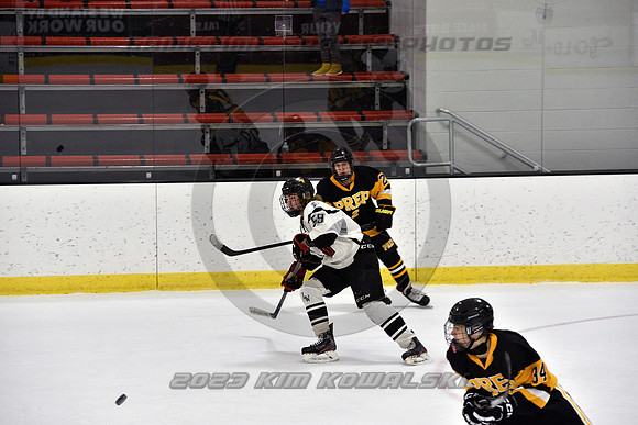 _GSP0615 (Copy)