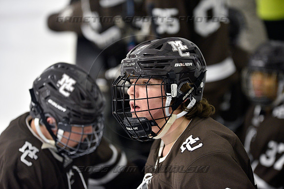 _GSP0739 (Copy)