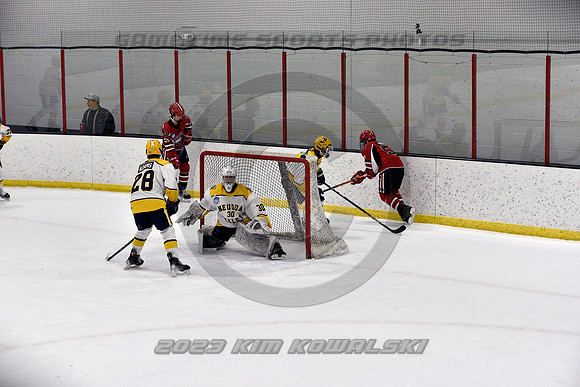 _GSP9006 (Copy)