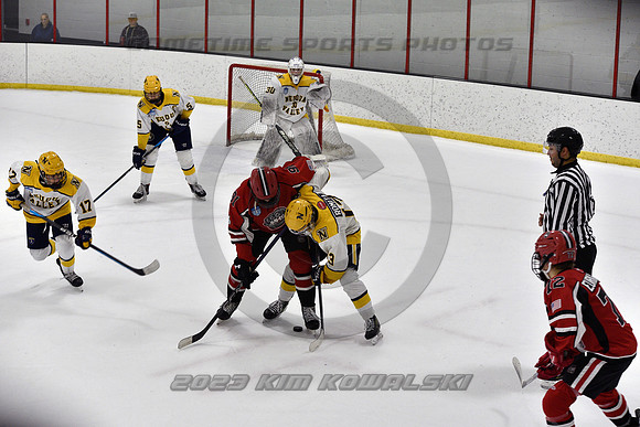 _GSP9011 (Copy)