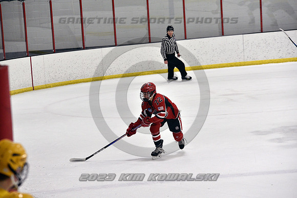 _GSP9025 (Copy)