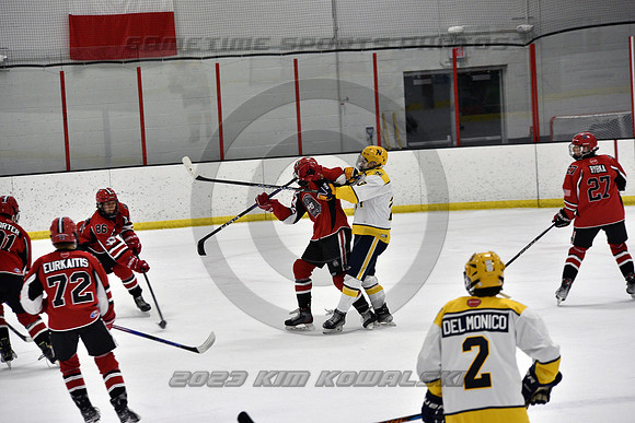 _GSP9028 (Copy)