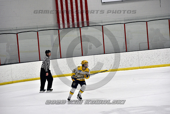 _GSP9029 (Copy)