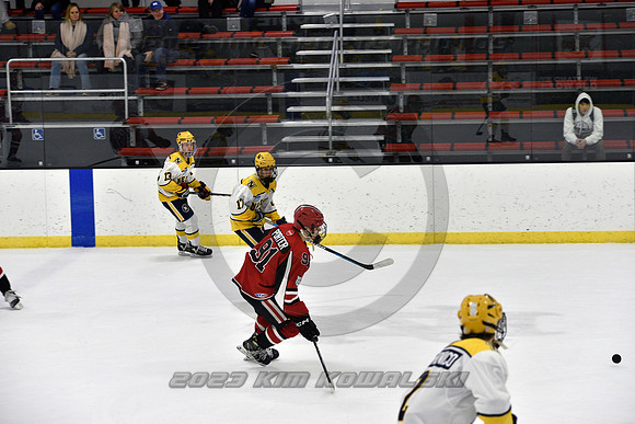 _GSP9035 (Copy)