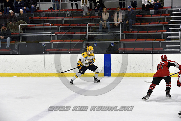 _GSP9037 (Copy)