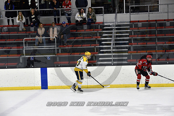 _GSP9038 (Copy)