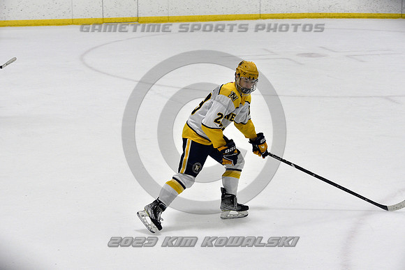 _GSP9047 (Copy)