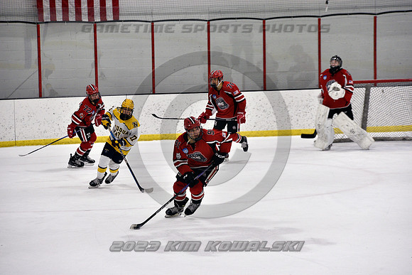 _GSP9043 (Copy)