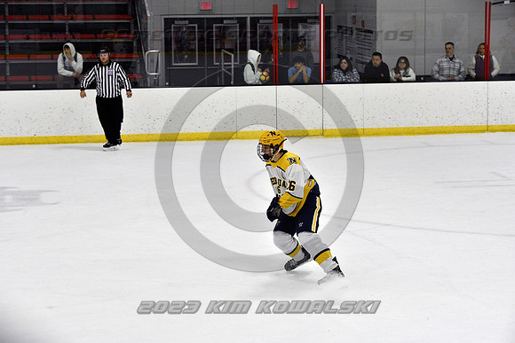 _GSP9067 (Copy)