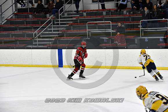 _GSP9071 (Copy)