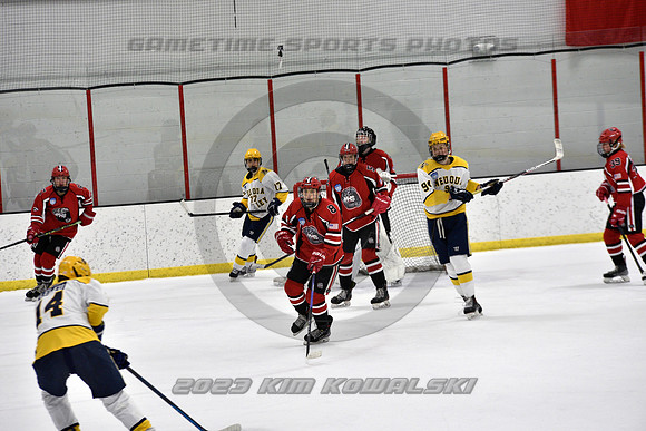 _GSP9081 (Copy)