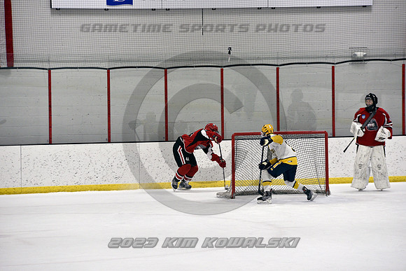 _GSP9113 (Copy)