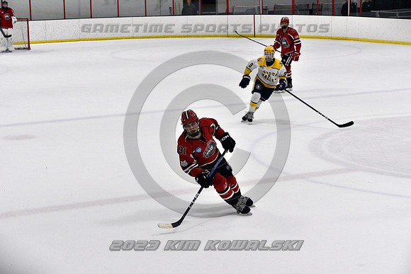 _GSP9121 (Copy)