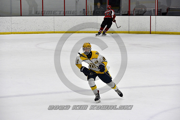 _GSP9125 (Copy)