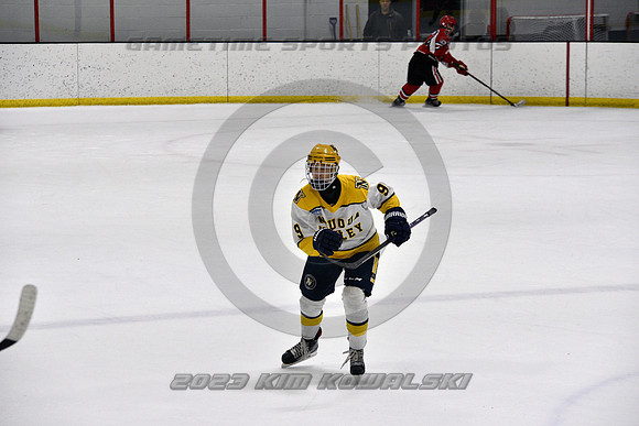 _GSP9126 (Copy)