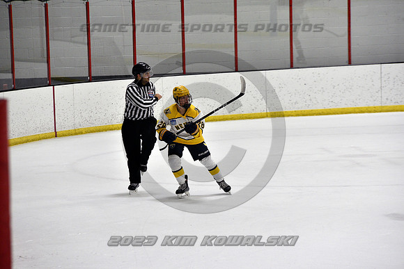 _GSP9132 (Copy)
