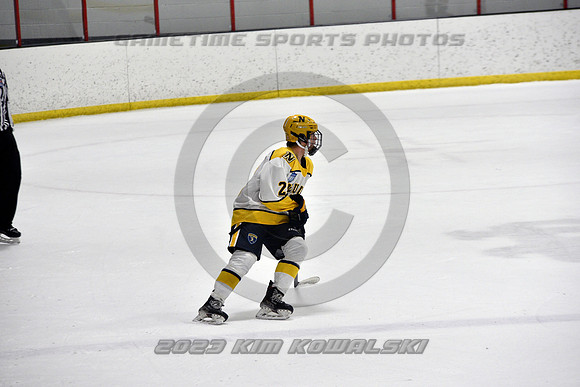 _GSP9133 (Copy)