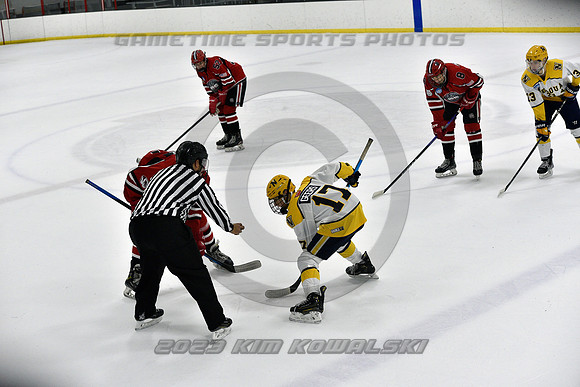 _GSP9149 (Copy)