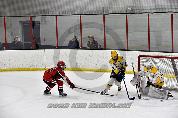 _GSP9167 (Copy)