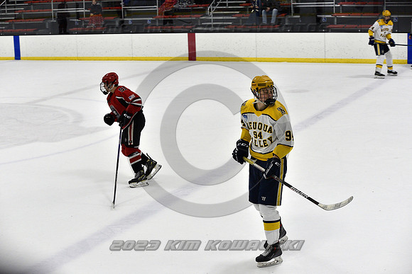 _GSP9183 (Copy)