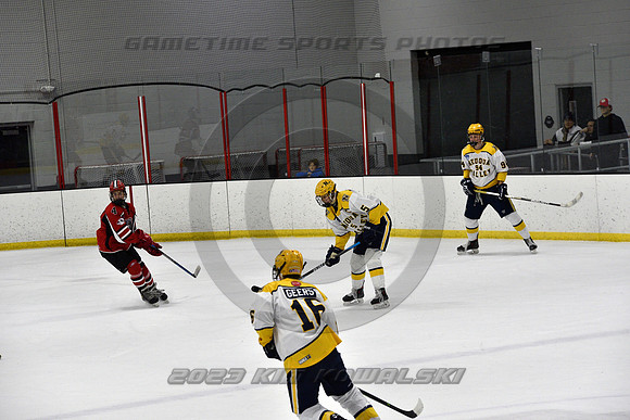 _GSP9217 (Copy)