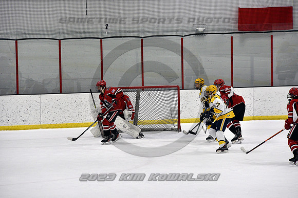 _GSP9231 (Copy)