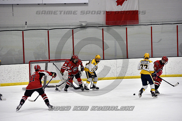 _GSP9233 (Copy)