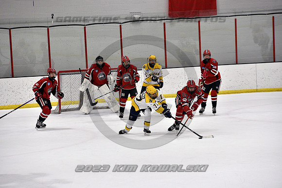 _GSP9235 (Copy)
