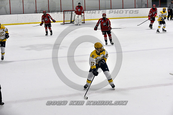 _GSP9238 (Copy)