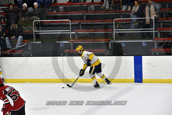 _GSP9239 (Copy)