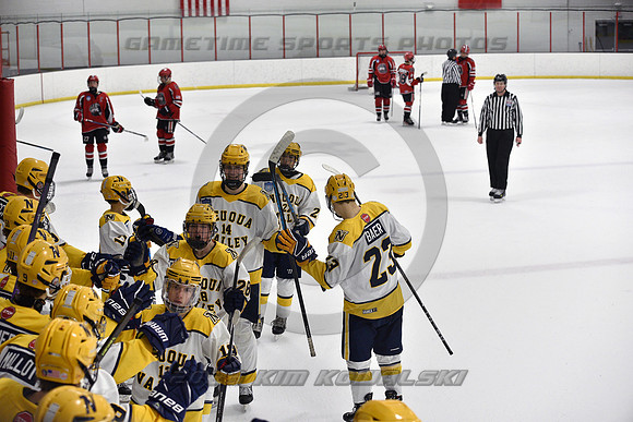 _GSP9287 (Copy)