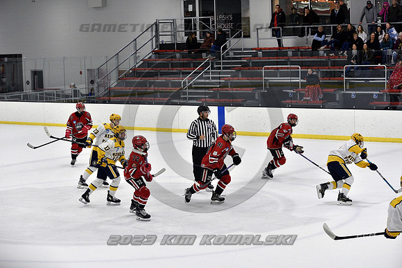 _GSP9294 (Copy)