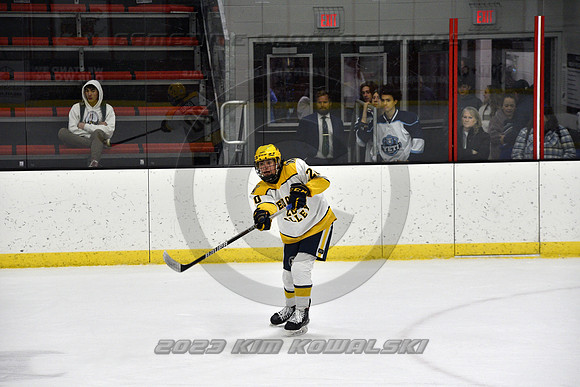 _GSP9295 (Copy)