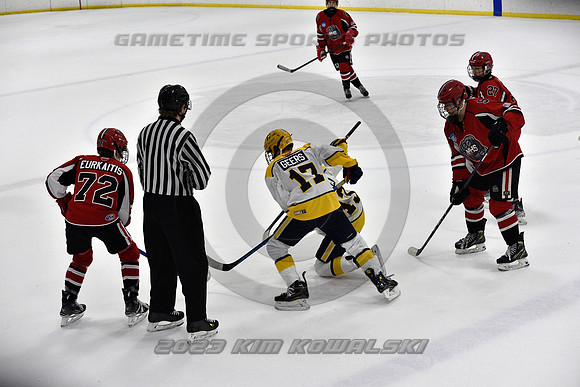 _GSP9306 (Copy)