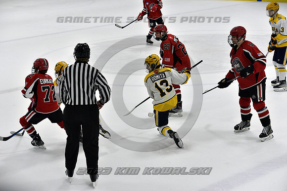 _GSP9307 (Copy)