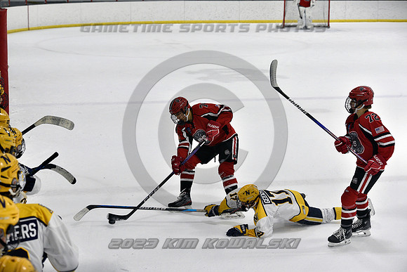 _GSP9308 (Copy)