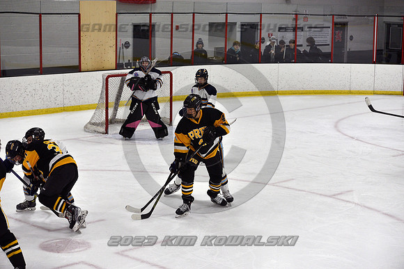 _GSP7381 (Copy)