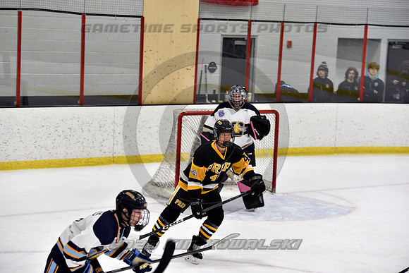 _GSP7384 (Copy)