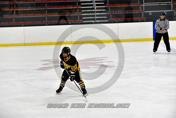 _GSP7394 (Copy)