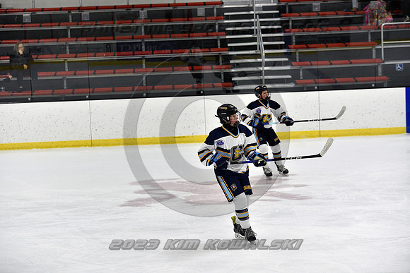 _GSP7415 (Copy)