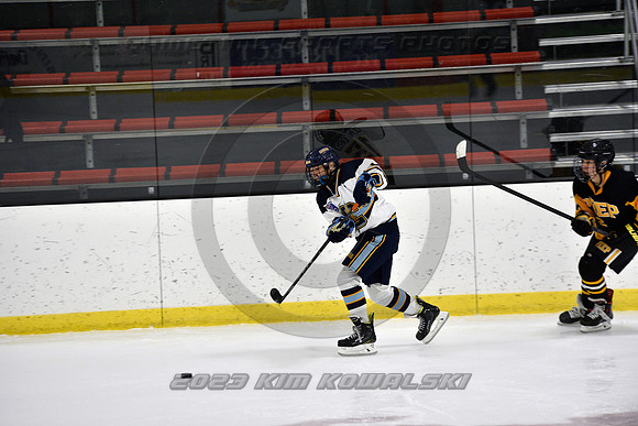 _GSP7417 (Copy)