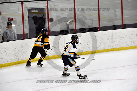 _GSP7421 (Copy)