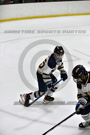 _GSP7434 (Copy)