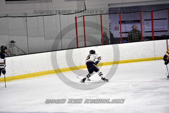 _GSP7451 (Copy)