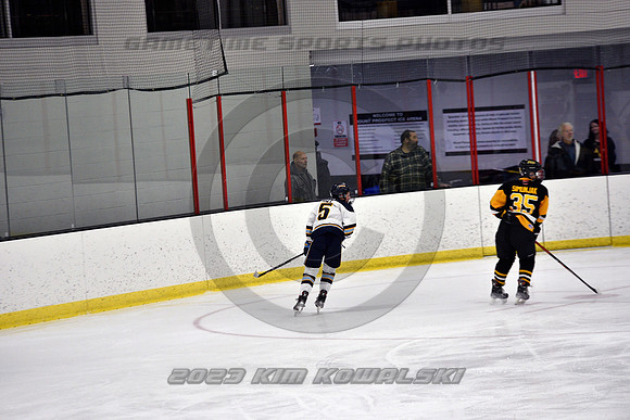 _GSP7453 (Copy)